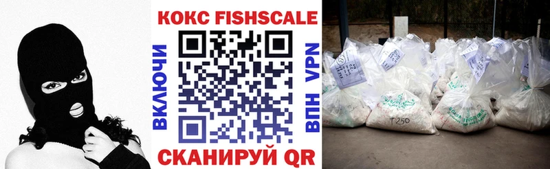 Купить  Белоусово  COCAIN FishScale 