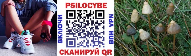 Купить где Белоусово Псилоцибиновые грибы мицелий